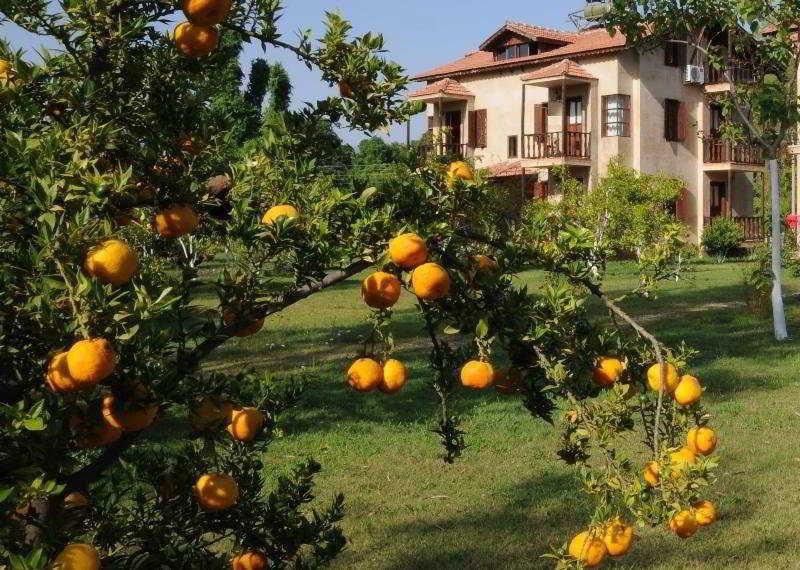 Yonca Lodge Φετιγιέ Εξωτερικό φωτογραφία