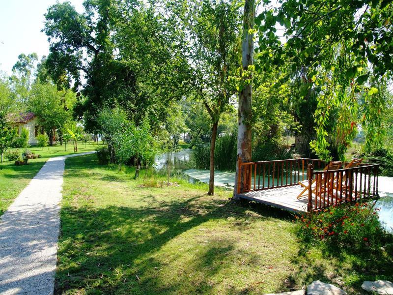 Yonca Lodge Φετιγιέ Εξωτερικό φωτογραφία